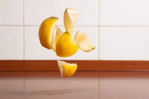 Primis gravida egestas erat ultricies